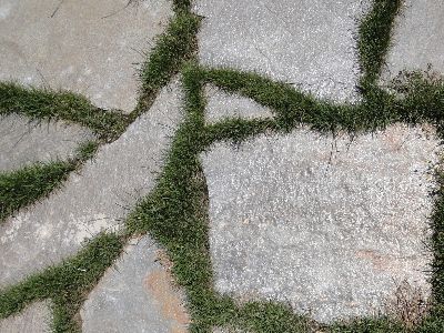 gneiss METALLIC